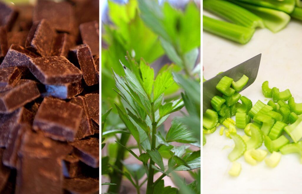 chocolatetweets's tweet photo. What do celery, dark chocolate, and parsley have in common? Maybe clues to a longer life. https://t.co/ytCGvYdRrJ https://t.co/6f07IfYN7Z