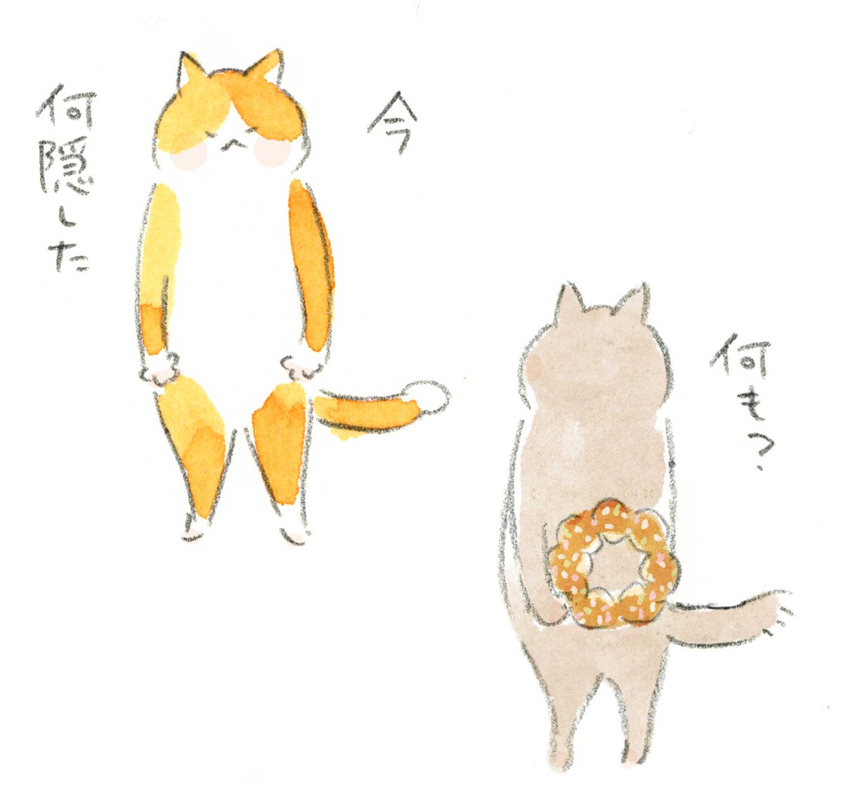 ねこまき☆ ねことじいちゃん（11）」ねこまき(ミューズワーク) [コミック