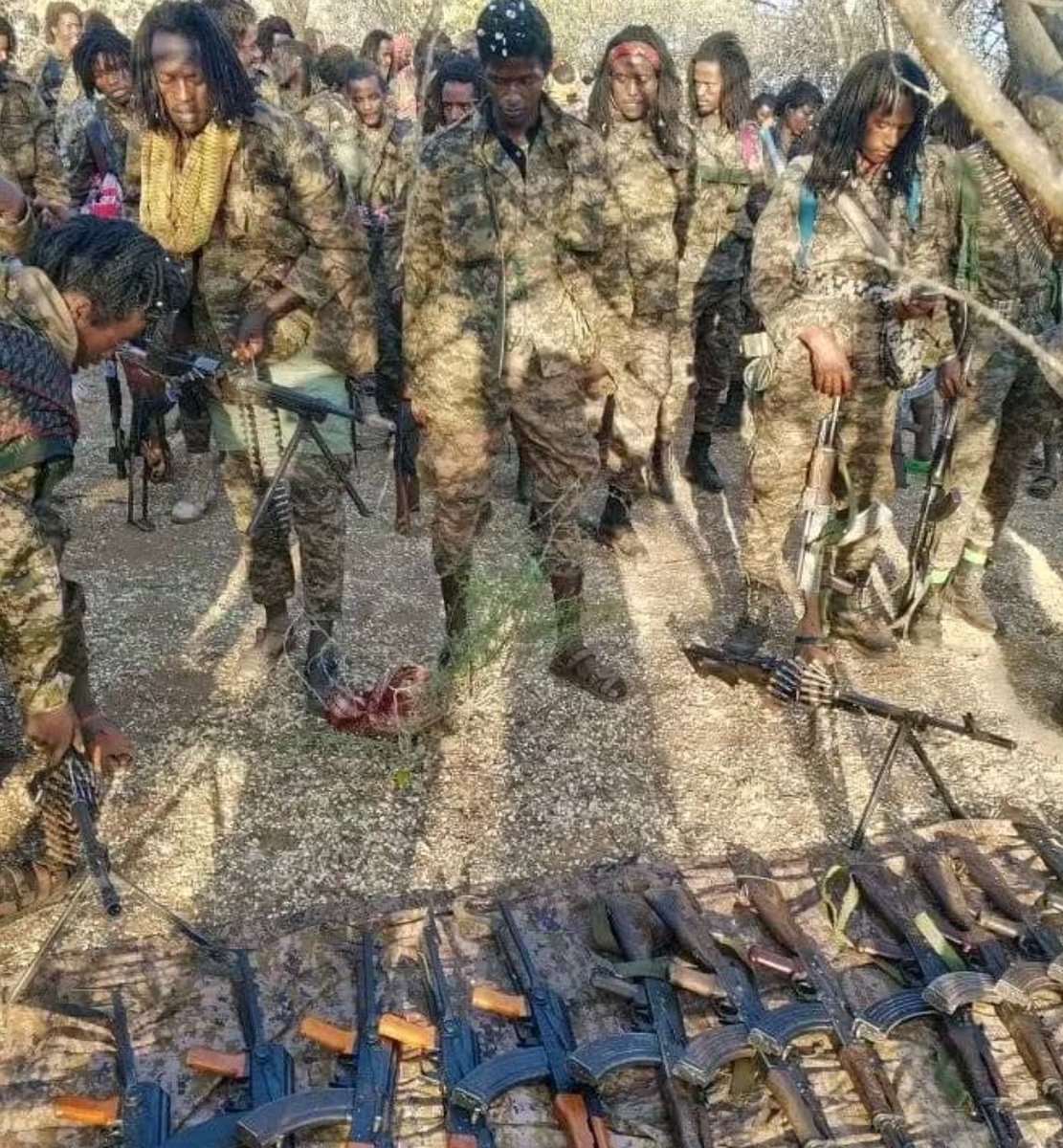 Oromo Liberation Army OLF-OLA tweet media