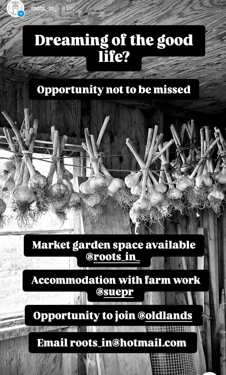 diggerdansmith's tweet image. Fancy a new challenge? 

instagram.com/stories/roots_…