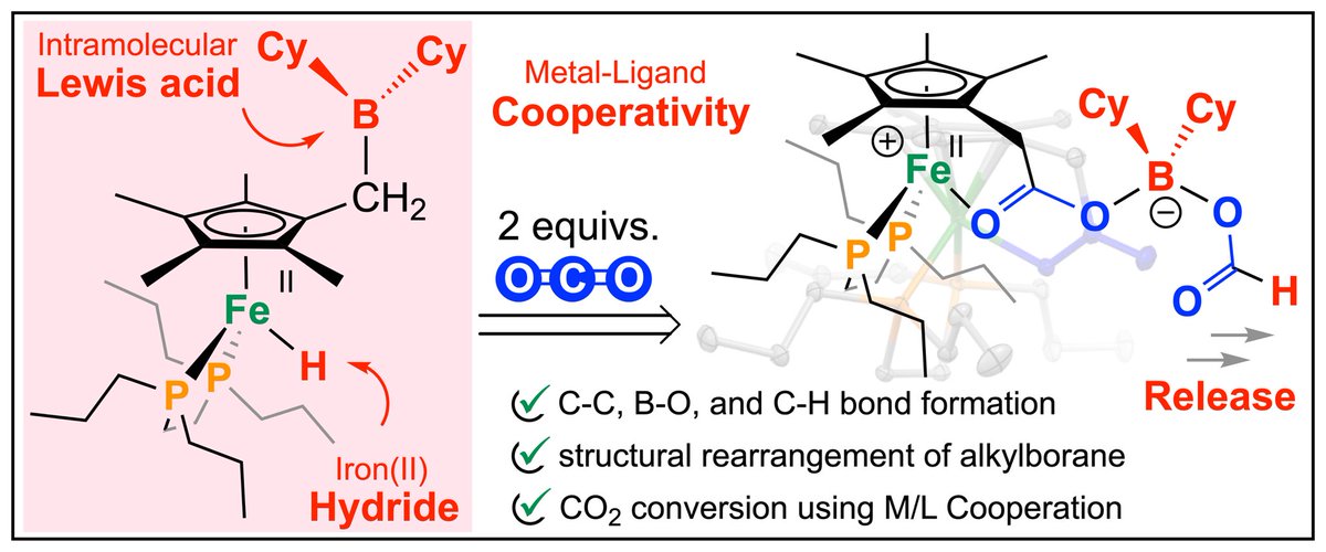 🔴=⚫️=🔴 

Excited to share our latest:

“CO2 Reduction at a Borane-Modified Iron Complex: A Secondary Coordination Sphere Strategy” 

Now out in <a href="/angew_chem/">Angewandte Chemie</a>! 

Congrats to Connor and Joey! 

<a href="/WesternU/">Western University</a> | <a href="/westernuchem/">Chemistry at Western</a> | @VPRWesternU 

doi.org/10.1002/anie.2…