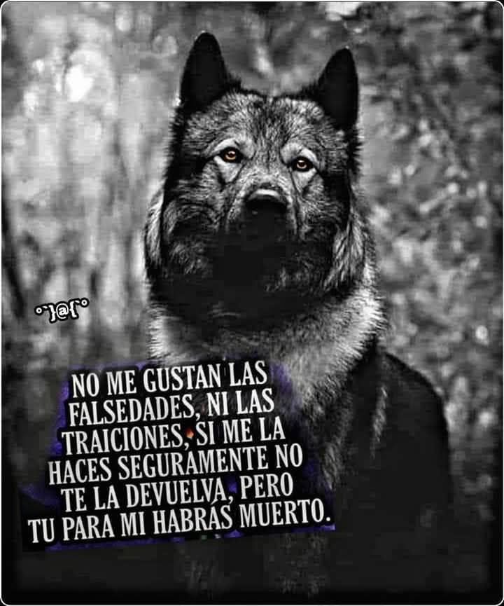 Arturo (@pepbueno3) on Twitter photo 