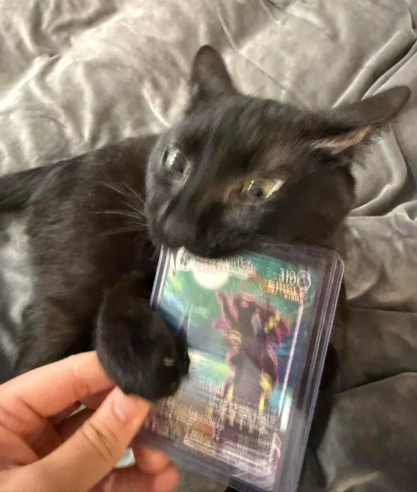 What would you do in this situation? 😂