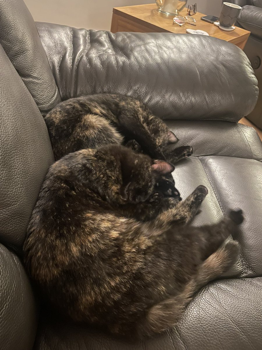 My beautiful girls ❤️