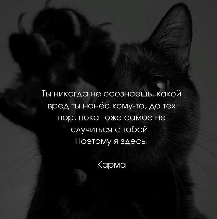 carma 🪬 tweet media