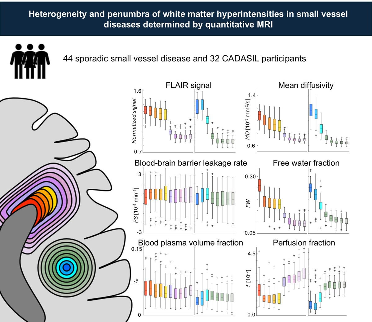 Stroke AHA/ASA (@strokeaha_asa) on Twitter photo #STROKE: Periventricular WMH display more severe damage and fluid accumulation compared to deep WMH, whereas deep WMH reflect stronger hypoperfusion in the lesion's core. #AHAJournals ahajrnls.org/4a9nL1l <a href="/PaulienVoorter/">Paulien Voorter</a> <a href="/AnnaDewenter/">Anna Dewenter</a> <a href="/jfajansenphd/">Dr Jacobus FA Jansen π§ βοΈπ</a> <a href="/MaastrichtUMC/">Maastricht UMC+</a> @TUEindhoven #STROKE: Periventricular WMH display more severe damage and fluid accumulation compared to deep WMH, whereas deep WMH reflect stronger hypoperfusion in the lesion's core. #AHAJournals ahajrnls.org/4a9nL1l <a href="/PaulienVoorter/">Paulien Voorter</a> <a href="/AnnaDewenter/">Anna Dewenter</a> <a href="/jfajansenphd/">Dr Jacobus FA Jansen π§ βοΈπ</a> <a href="/MaastrichtUMC/">Maastricht UMC+</a> @TUEindhoven