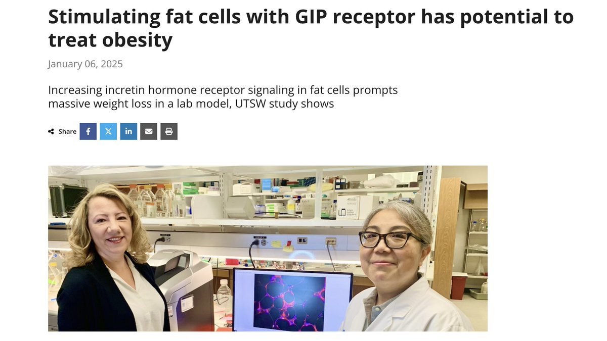 Obese mice whose fat cells were genetically altered to produce an increased amount of the glucose-dependent insulinotropic polypeptide receptor (GIPR) lost more than a third of their body weight through a mechanism that burns energy, UT Southwestern Medical Center researchers