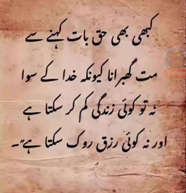 SHAHZAD (@shahzad486548) on Twitter photo 