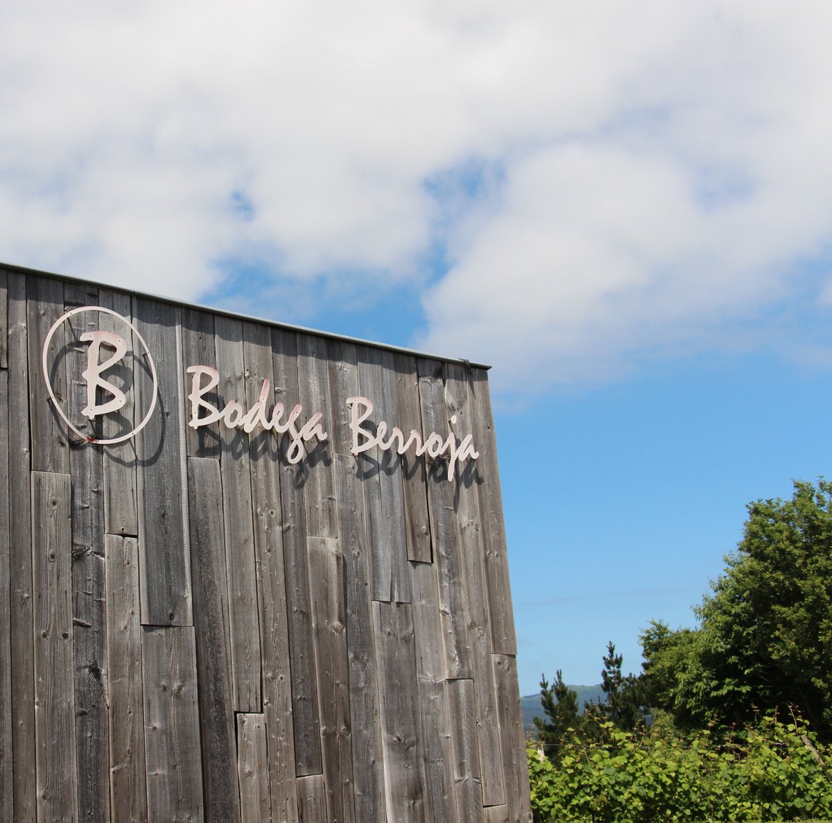 ✨ Año Nuevo, Retos Nuevos ✨

Brindamos por el inicio de un nuevo capítulo lleno de posibilidades🍷 En 2025, en Bodega Berroja nos comprometemos a seguir creciendo, innovando y compartiendo nuestra pasión por los vinos que nacen del alma de nuestro terroir