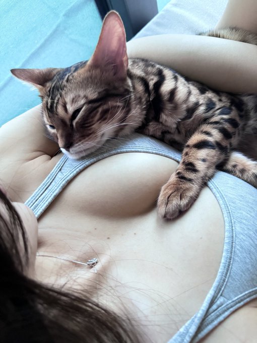 Kendi yatagi var yine koynumda yatiyo benim kedi bozuk olabilir mi https://t.co/DrF6rnXlOf