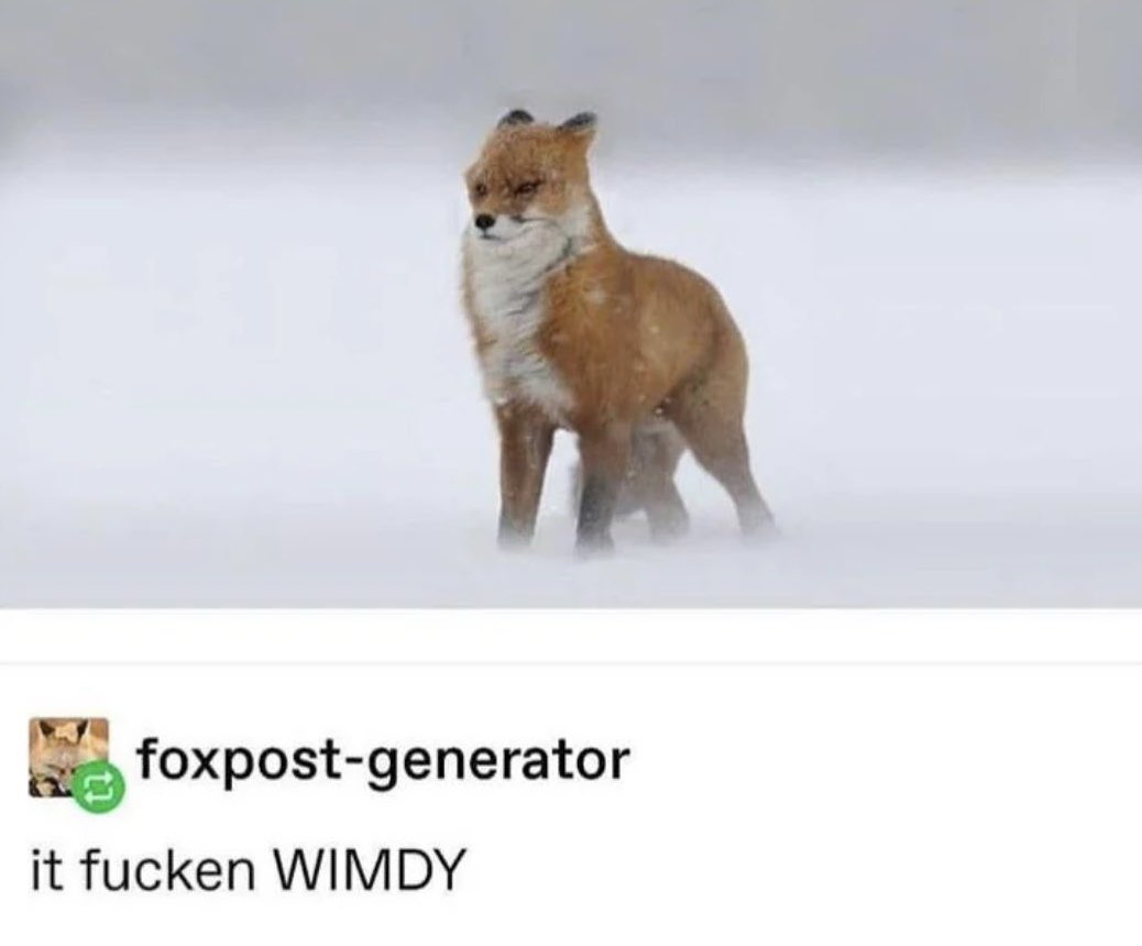 thisisLeeAnn's tweet photo. The Santa Ana winds have arrived in LA, which means I get to post my favorite meme. https://t.co/MzOcfrOH14