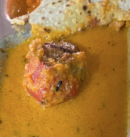 worstfoodiitism's tweet photo. The food quality at Aquamarine Hostel IIT ISM Dhanbad is worst than that of any private college. Insects, wires, and hair are regularly found in meals. Despite repeated complaints to the DSW and hostel warden, no action has been taken. @IITISM_DHANBAD @MOFPI_GOI @MoHFW_INDIA https://t.co/LVooT6Q48a