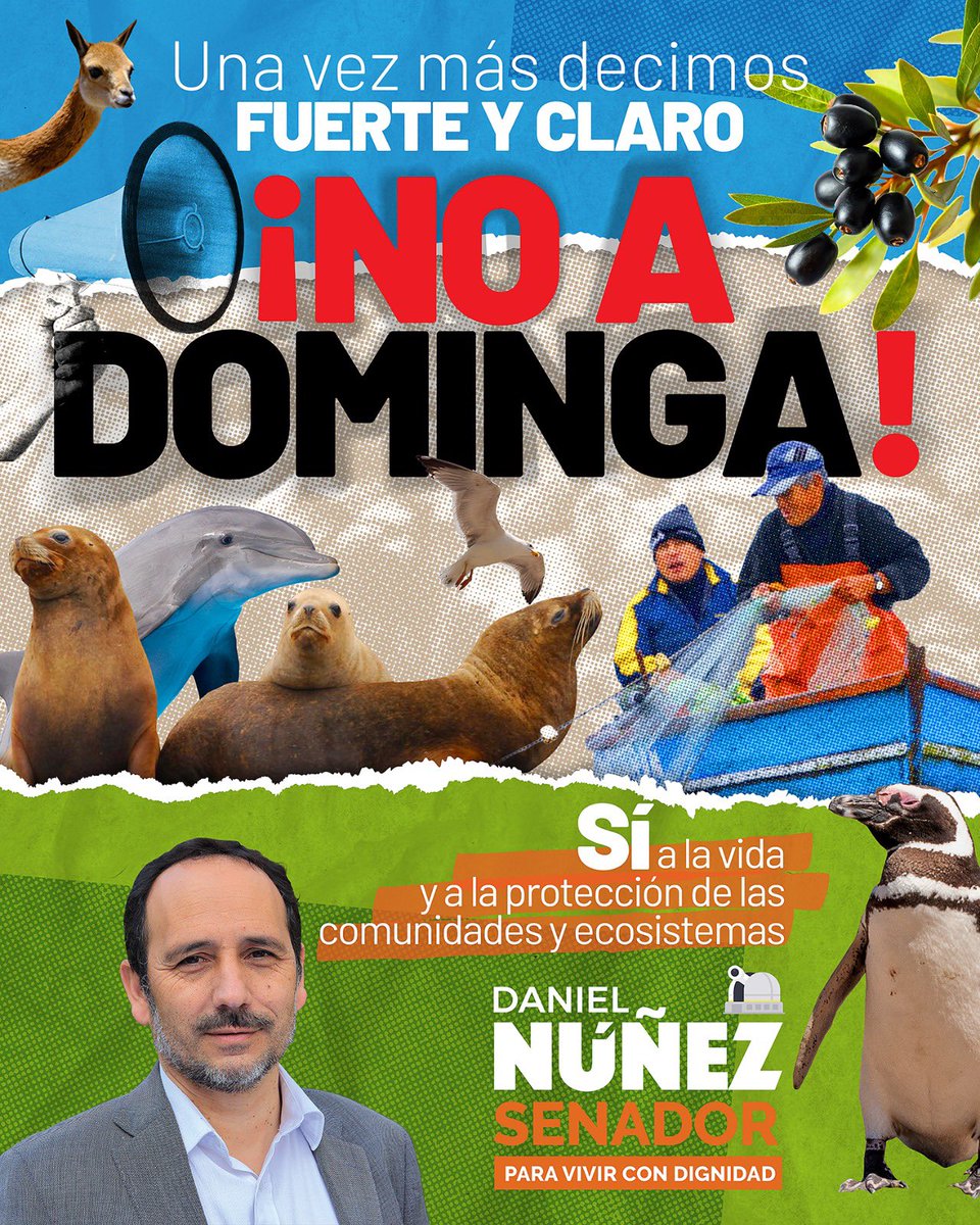 Este miércoles es el día “D” para el proyecto minero Dominga.

Esperamos nuevamente que las autoridades rechacen este nefasto proyecto