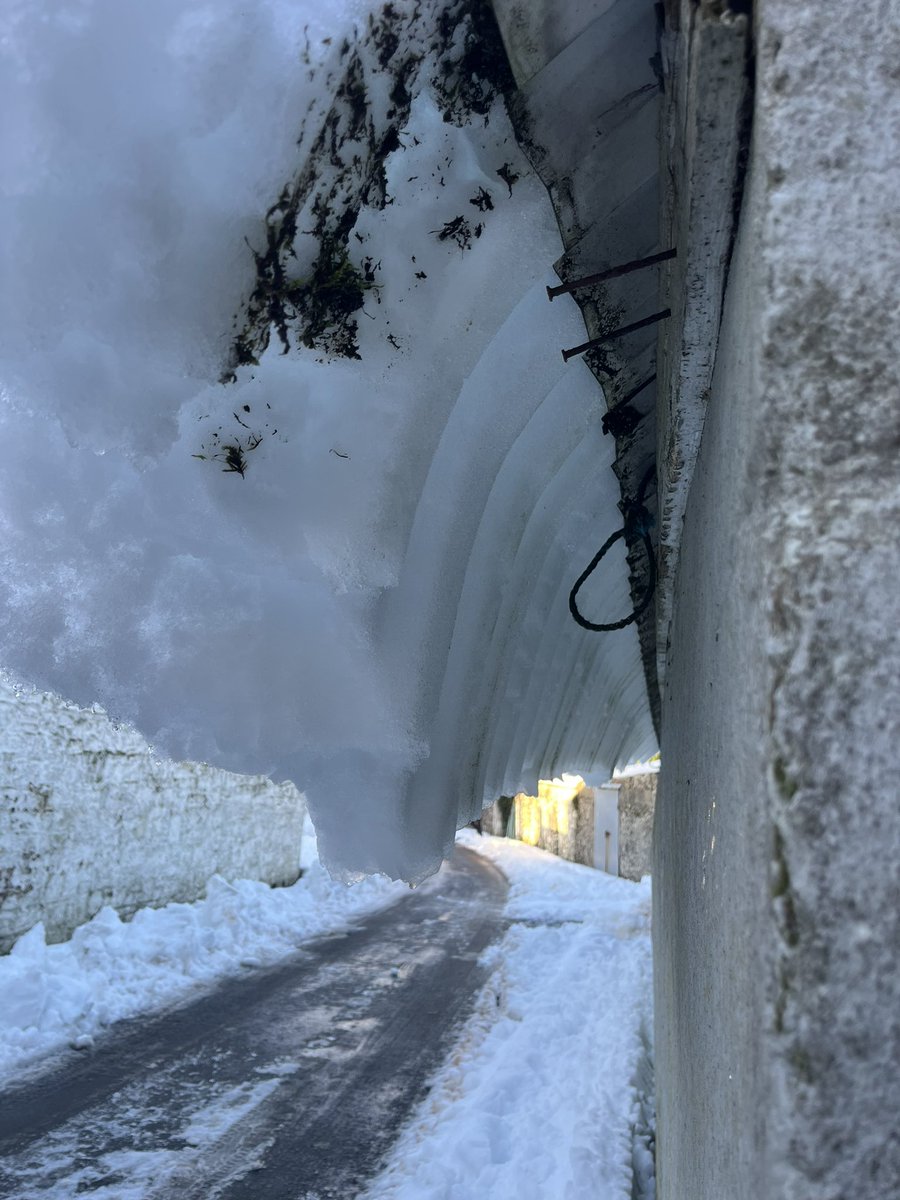 Dr Paul O'Brien tweet media