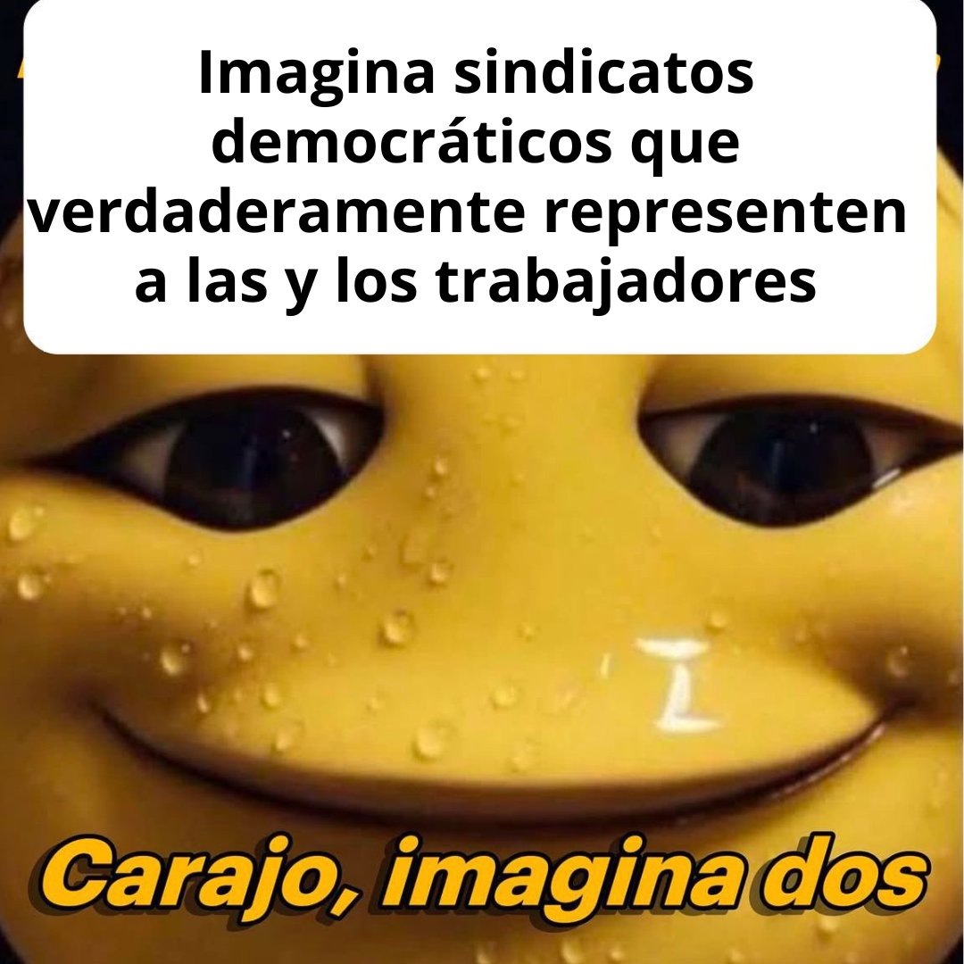 #BuenosYSindicalistasDías
¡Es posible! ✨
Por un #2025 lleno de derechos laborales y clase trabajadora organizada✊
#FelizMartesATodos