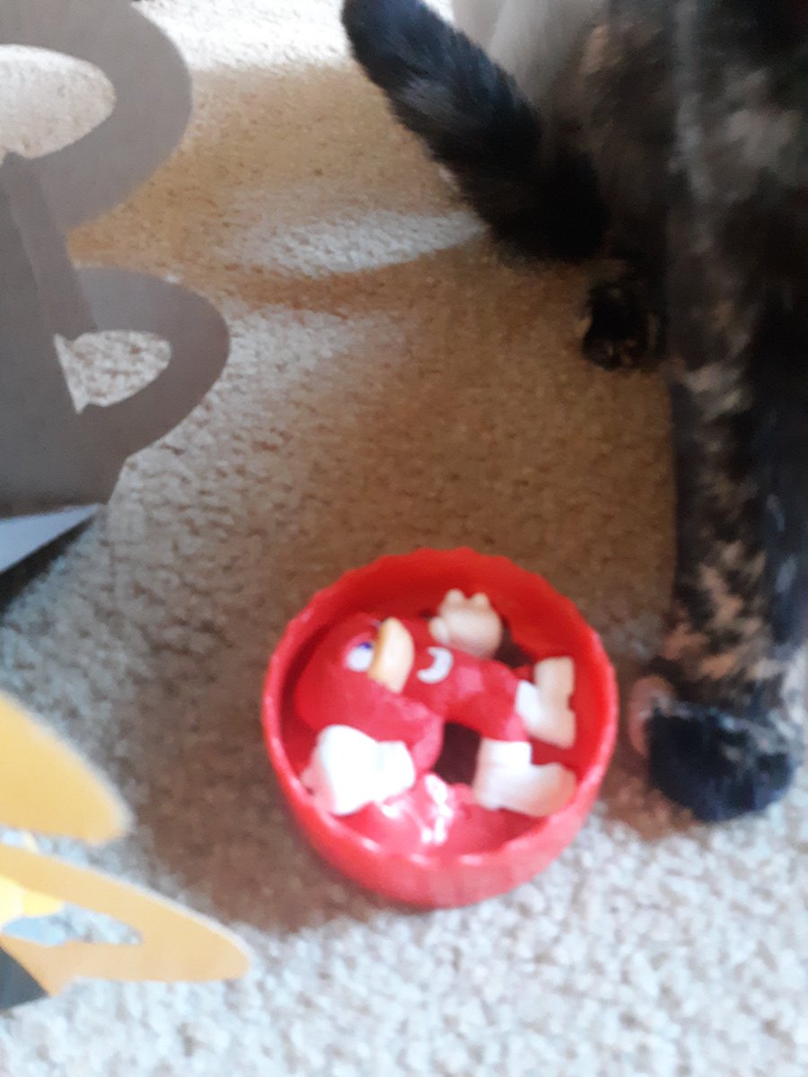 Cloudy &amp; Toffee enjoying my happy meal toy😹😻❤🐾