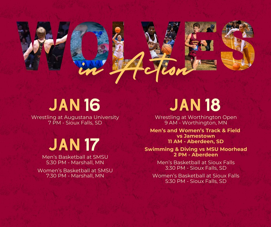 AlumniNSU's tweet image. #WolvesinAction 🐺🐾