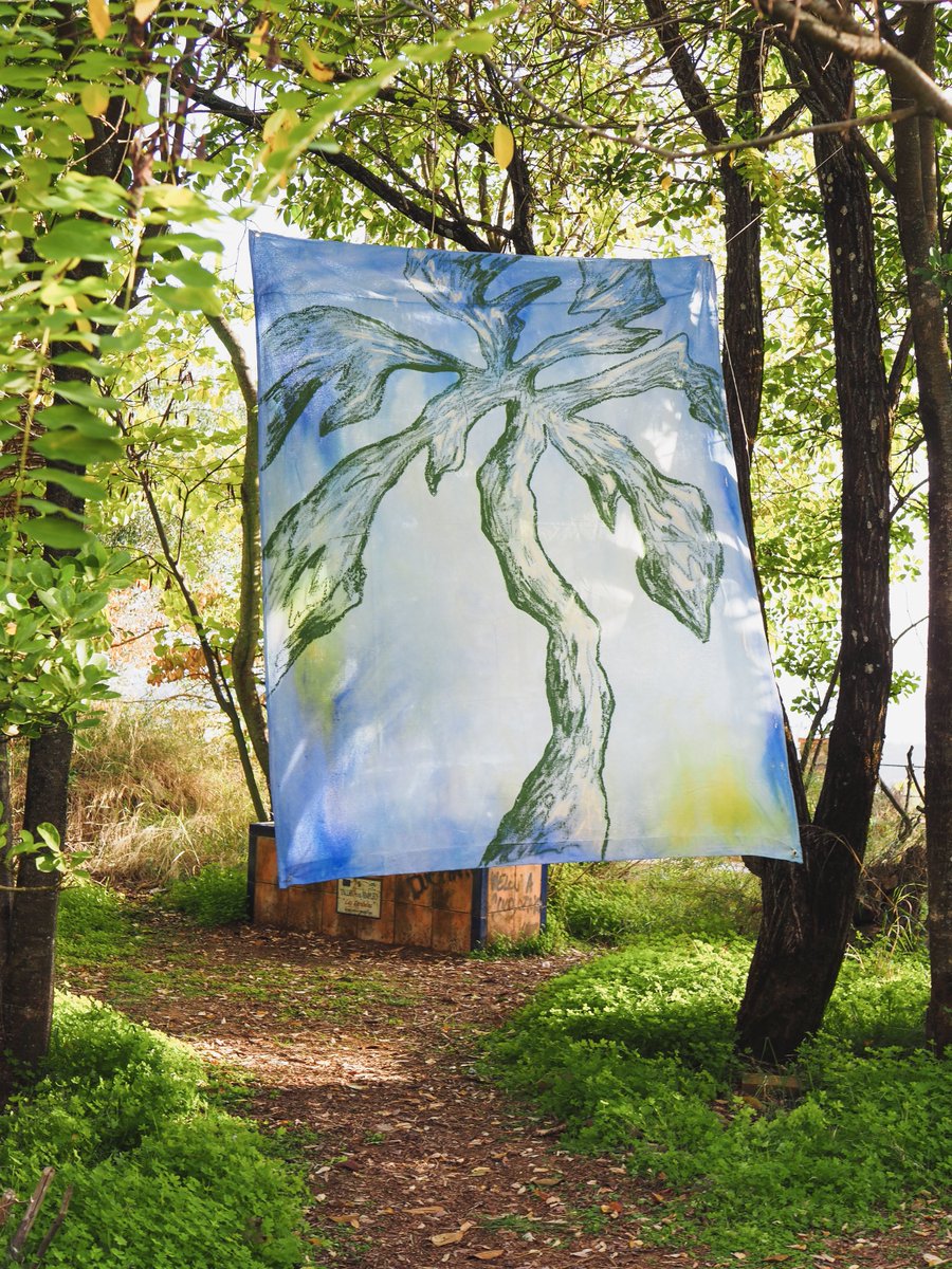Perfect day on <a href="/rodeodotclub/">Rodeo</a> rodeo.club/post/0x73f5C35…