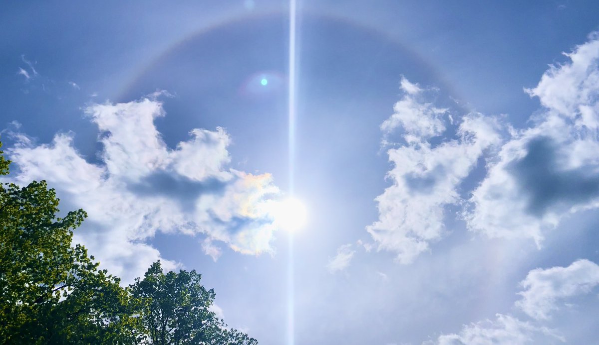 bby eco (@bby_eco) on Twitter photo 