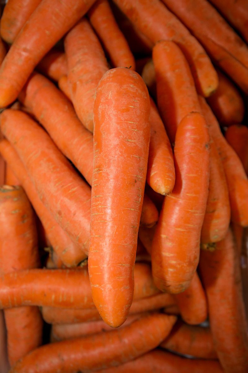 Última Hora | EN LA CENTRAL DE ABASTOS ENCUENTRAS GRANOS BÁSICOS, CÁRNICOS, LÁCTEOS Y MUCHO MÁS

La Central de Abastos es el lugar donde encuentras de todo para tu cocina, sirve lo mejor en tu mesa con productos de calidad y a bajos precios.

Los horarios son desde las 2:00 a.m.,