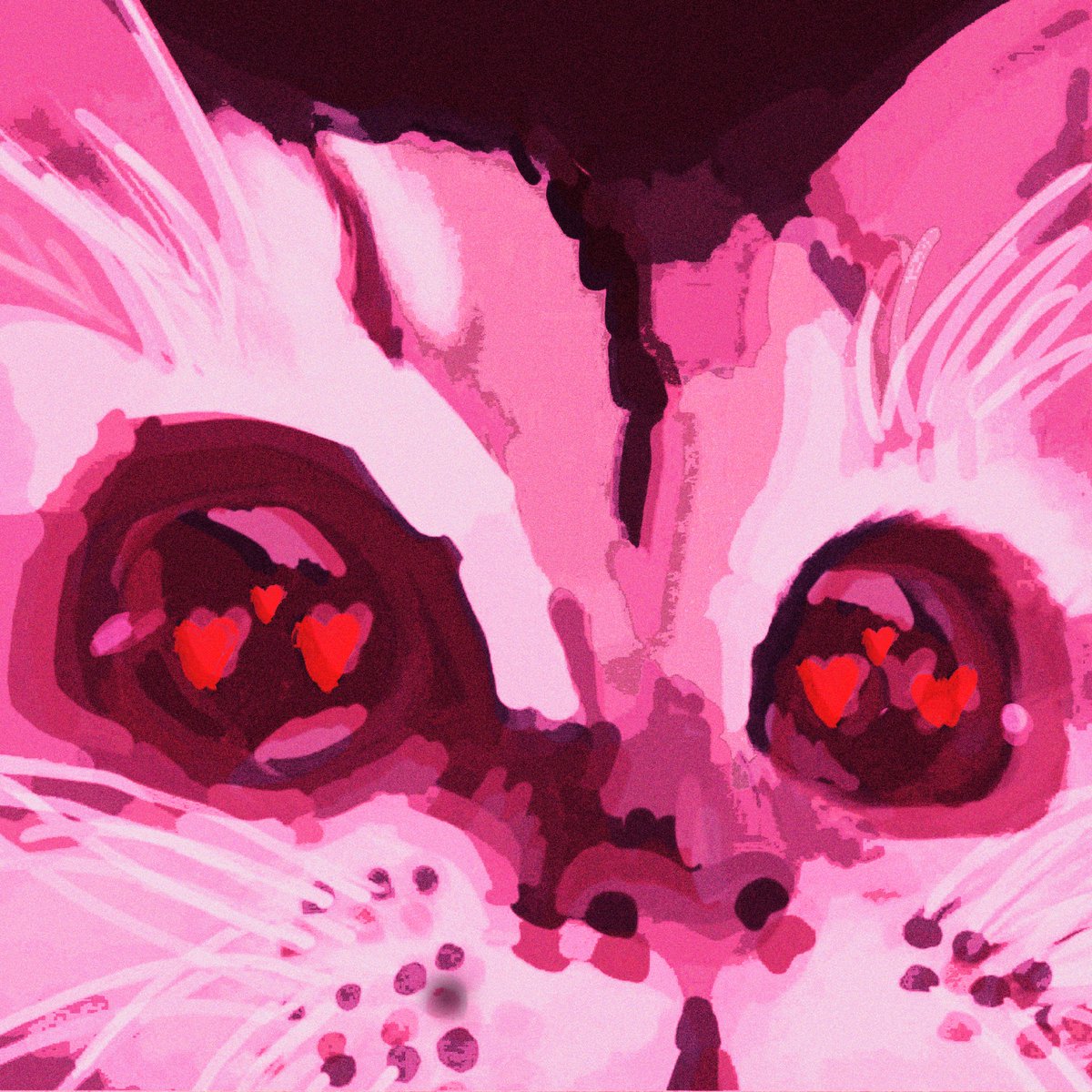 Loyal Moth tweet media