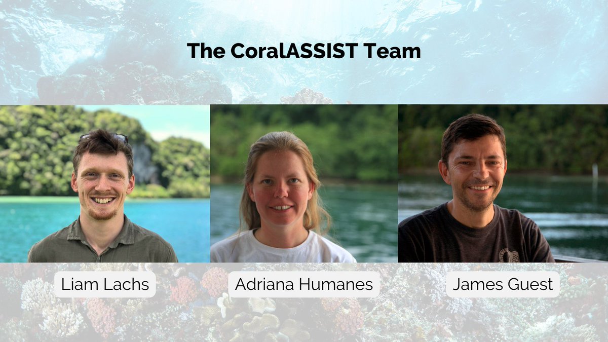Faculty of Science, Agriculture & Engineering (@sage_ncl) on Twitter photo 🎉 Congrats to CoralASSIST <a href="/SciencesNCL/">Sciences at Newcastle</a> on their nomination for the international Frontiers Planet Prize! 🌍 Their work on breeding heat-tolerant corals is inspiring. National winners announced #EarthDay2025 🤞 April 22!
Read more about their research ➡️ bit.ly/40lxsXe 🎉 Congrats to CoralASSIST <a href="/SciencesNCL/">Sciences at Newcastle</a> on their nomination for the international Frontiers Planet Prize! 🌍 Their work on breeding heat-tolerant corals is inspiring. National winners announced #EarthDay2025 🤞 April 22!
Read more about their research ➡️ bit.ly/40lxsXe