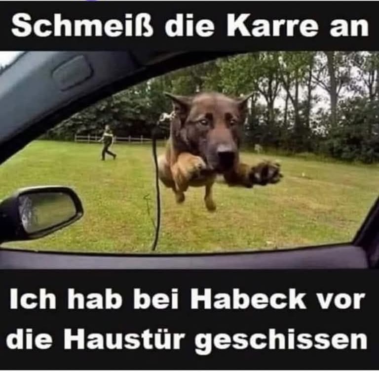 <a href="/trollpunk69/">Pogobär</a>