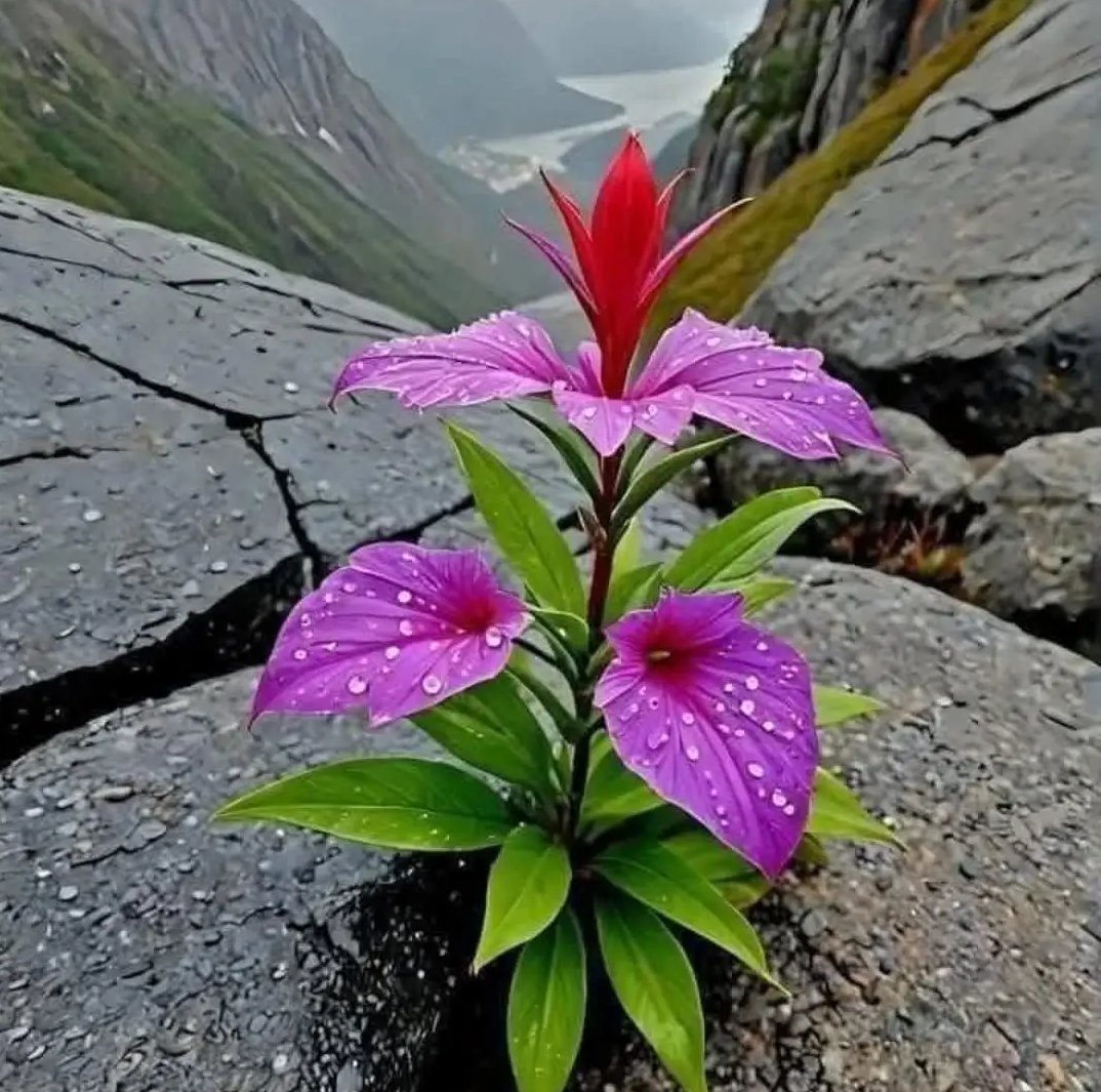 #loneliness  is #happiness