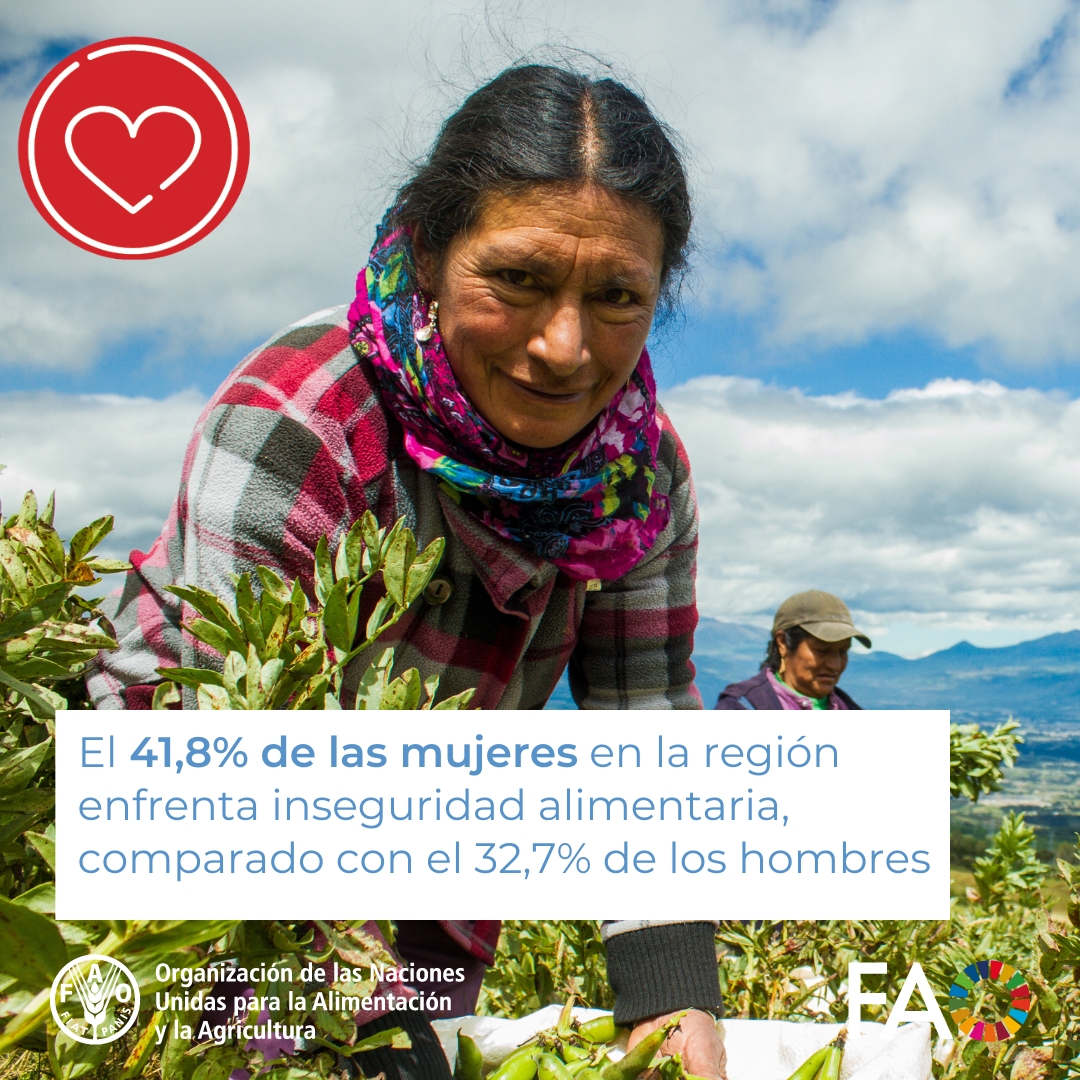 FAO Américas tweet media