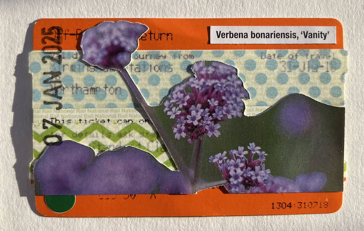 #drawing 4556 day 7, #30daysketchbookchallenge purple #collage #ticketart #thedailysketch #adrawingaday