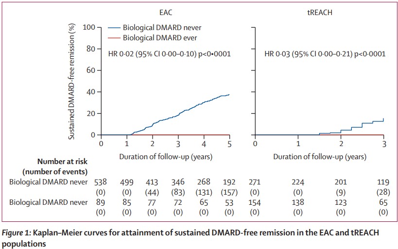 NEW RESEARCH—DMARD-free #remission is attainable in patients with #rheumatoidarthritis who do not require biological DMARDs, whereas those who require biological DMARDs have a negligible chance of reaching sustained DMARD-free remission thelancet.com/journals/lanrh…
