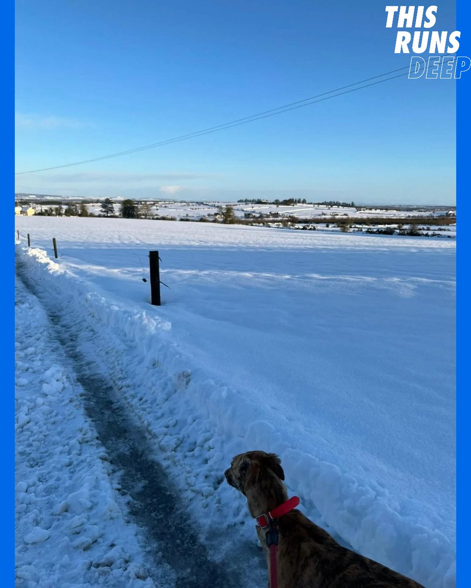 ❄️ Snow Days ❄️

Beautiful scenes from Cork as Deborah and her Greyhound take a walk in their snowy surroundings in Cork 

Pics with thanks to Deborah Morton

Got a snowy pic of your greyhounds? We'd love to see them! 

#Cork #GoGreyhoundRacing #ThisRunsDeep #Sneachta