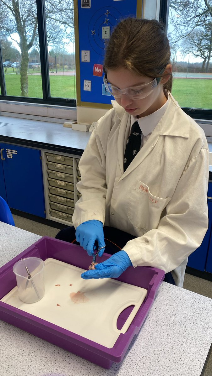 Shebbear College tweet media