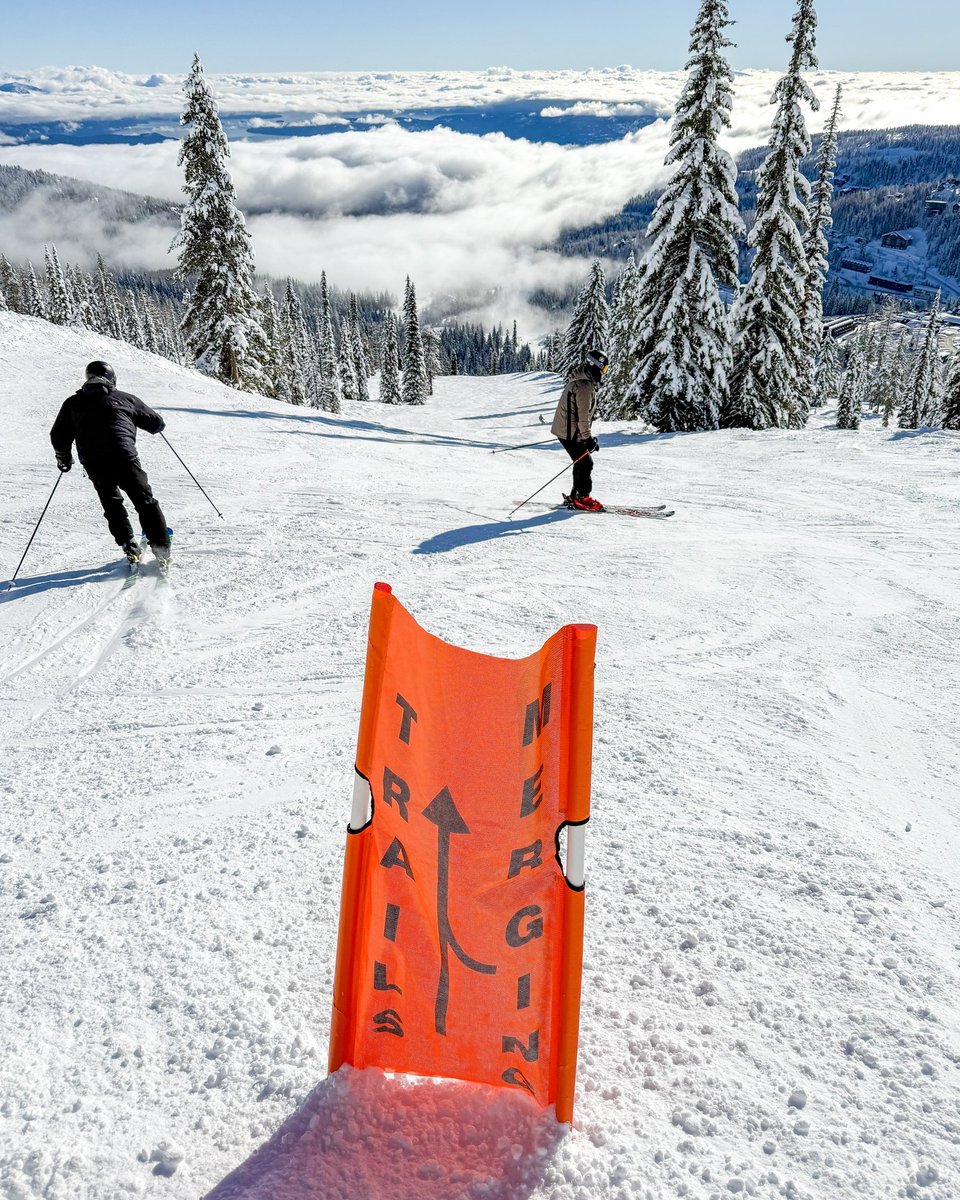 SchweitzerID's tweet photo. January is Ski Safety Month! Avoid collisions by: 1. Being ready to slow down at any time. 2. Staying alert to what's going on around you. 3. Obeying all marked signage. 3. Checking blind spots, looking uphill, and giving space. #skisafety #schweitzerlife https://t.co/igwG8JIoei