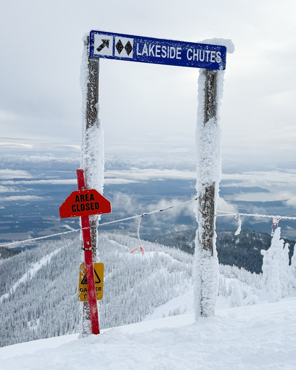 SchweitzerID's tweet photo. January is Ski Safety Month! Avoid collisions by: 1. Being ready to slow down at any time. 2. Staying alert to what's going on around you. 3. Obeying all marked signage. 3. Checking blind spots, looking uphill, and giving space. #skisafety #schweitzerlife https://t.co/igwG8JIoei