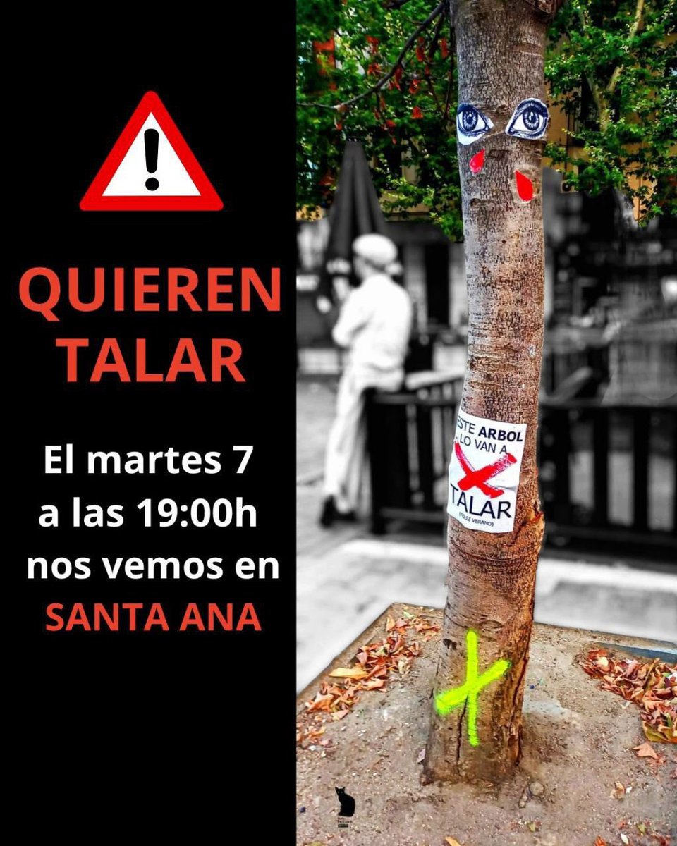 ⚠️ Martínez-Almeida, "el alcalde arboricida", vuelve a dejar claro para quién trabaja🪚

😡 A pesar de las muestras de descontento de la ciudadanía, ha decidido destruir Santa Ana para beneficiar a una empresa💰

#NoALaTala 
#QueremosMadridVerdeYHabitable