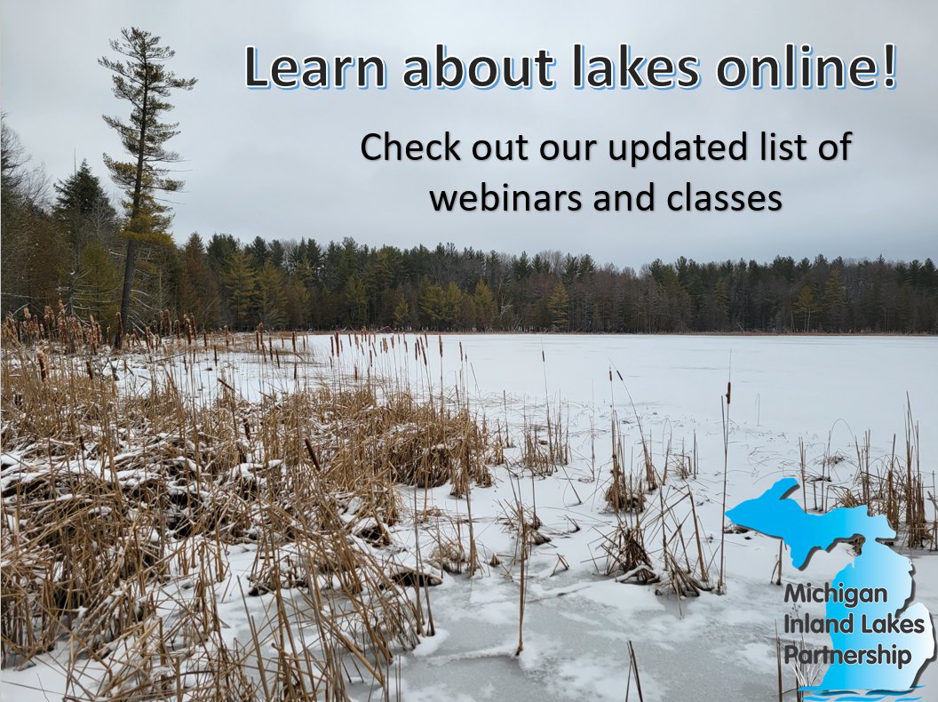 New year, new learning opportunities!
🎓 Sign up for the Introduction to Lakes online class!
🕵️ Investigate harmful algal blooms
🦞 Prevent invasive aquatic pets from taking over
...and much more! See our full list at canr.msu.edu/michiganlakes/…
#NotMISpecies