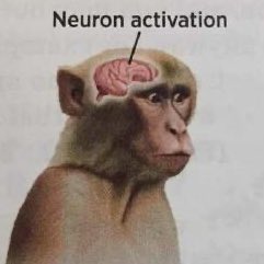 i am a girl (@xcxcel) on Twitter photo 