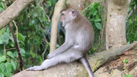 Miguel MD tweet media