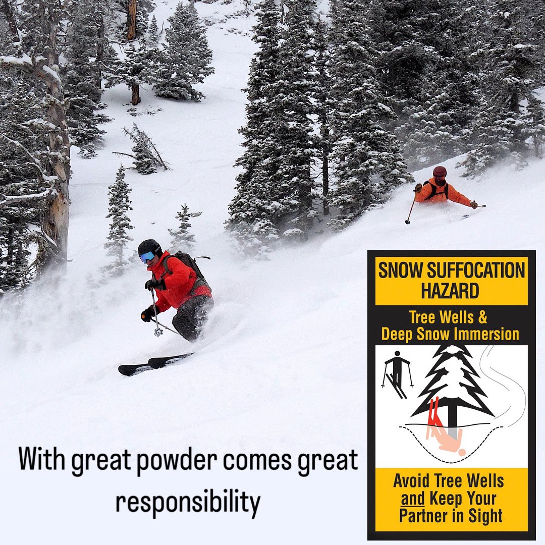 We love tree skiing and we really love powder! Deeper snow brings new hidden hazards so ski smart!

Skiers and riders should always ski with a partner and steer clear of tree wells. 

Follow the link for safety tips: 
bridgerbowl.com/safety