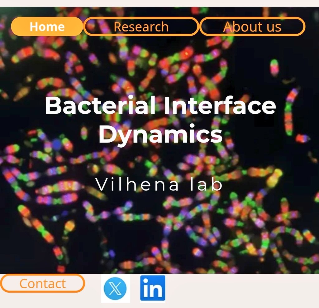 Cláudia Vilhena (@claudiasjv7) on Twitter photo New year, new look!🙌🏻 The #BIDlab website just got a makeover! 👩🏻💻 Check it out and explore what we’re up to:
singlecell-vilhena.website2.me
#newPI #extracellularvesicles <a href="/UniFAU/">FAU Erlangen-Nbg</a> New year, new look!🙌🏻 The #BIDlab website just got a makeover! 👩🏻💻 Check it out and explore what we’re up to:
singlecell-vilhena.website2.me
#newPI #extracellularvesicles <a href="/UniFAU/">FAU Erlangen-Nbg</a>