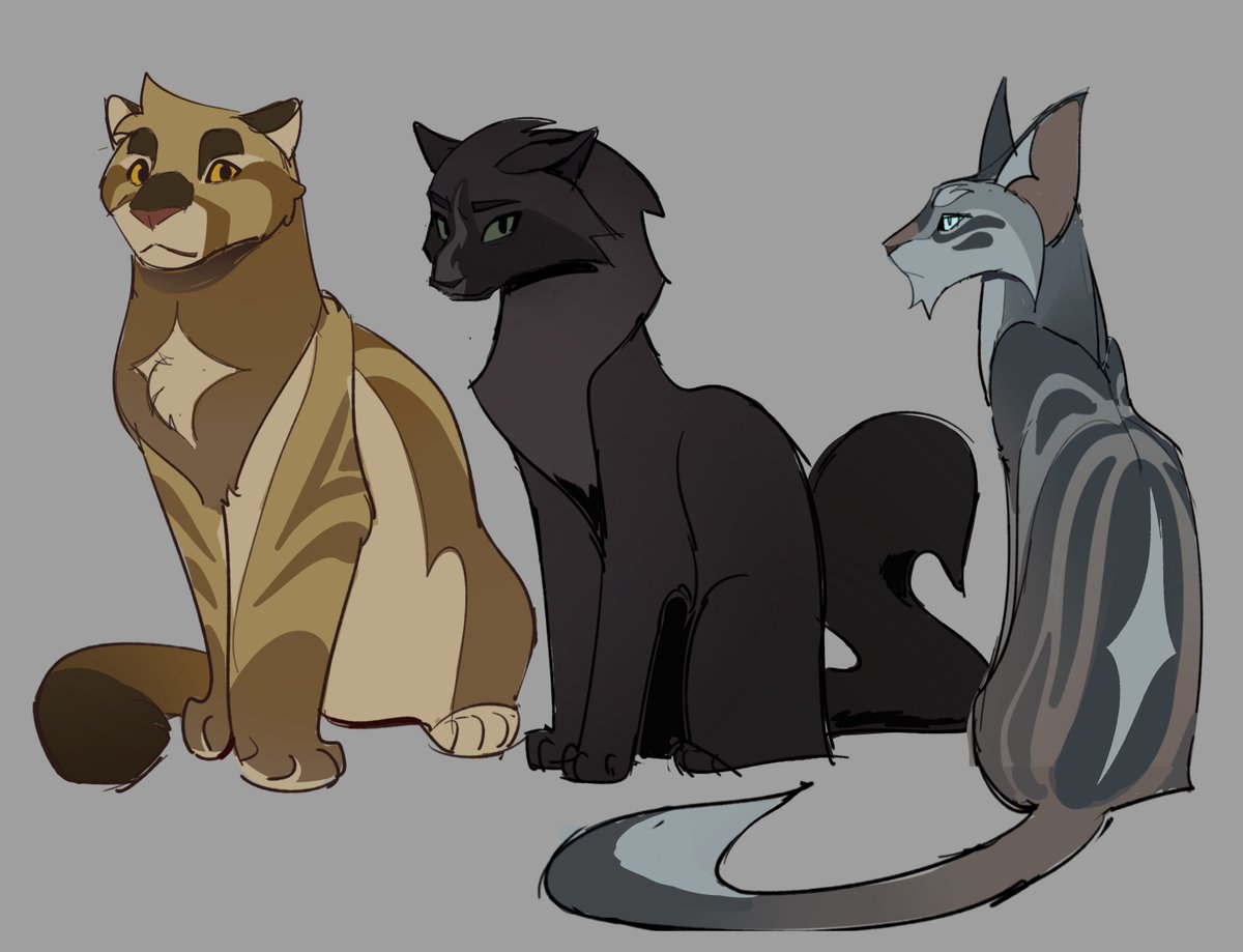 three of them #warriorcats