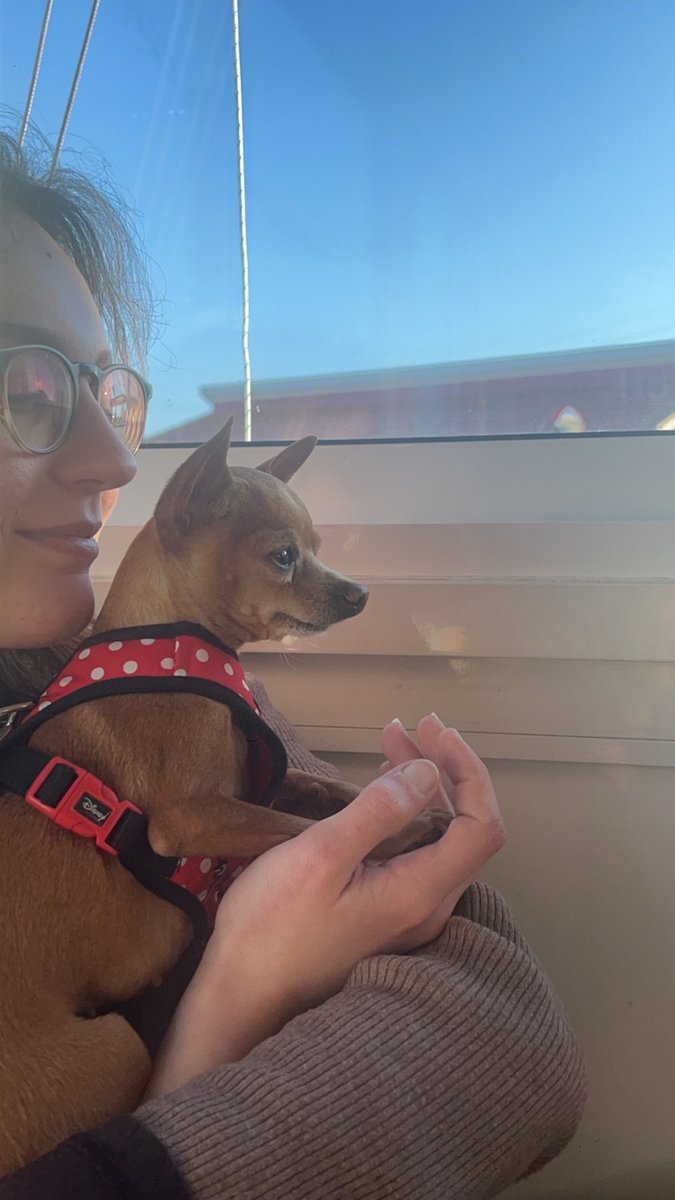 saw baby girl in said portuguese countryside and hated it . preferred meeting her stupid dogs. women are always right !!!!!