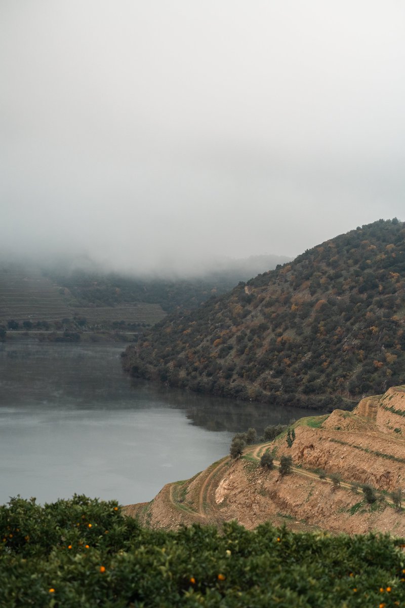 We're not going to lie, views like this make it a little easier to get back to work. 😌
While it's pretty quiet in the vineyards at this time of year, it's actually one of our favourite times to sit back and enjoy Canais' moody colours and misty hills.