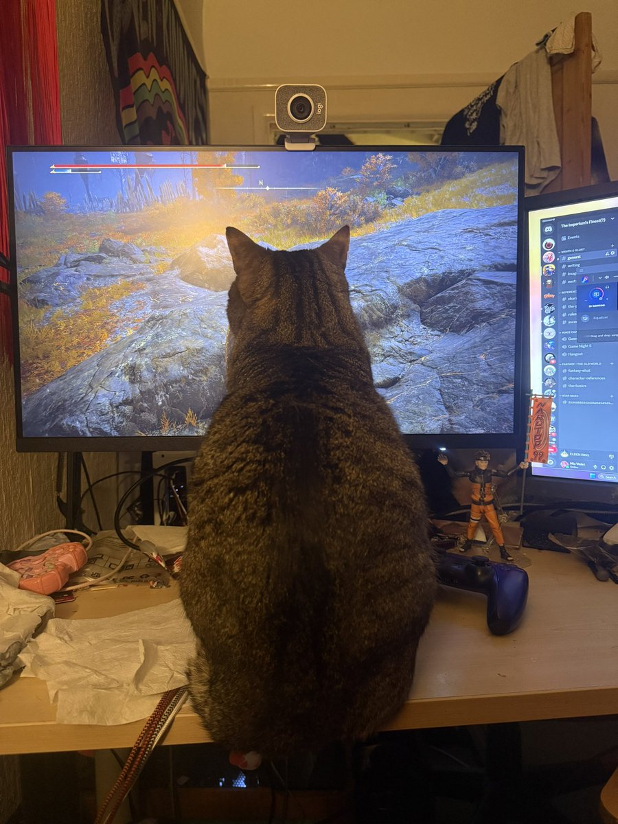 Mittens, I love that you enjoy watching me play video games, but could you find a different place to sit?