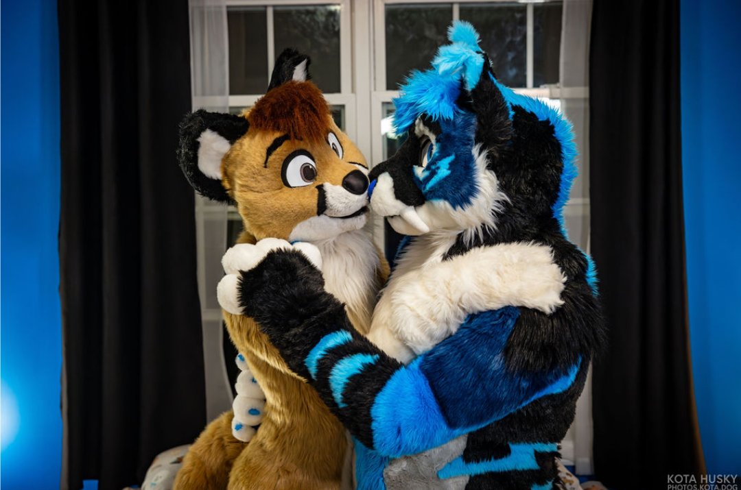 It's getting very cold out. Make sure to grab a cutie for cuddles to stay warm 💙

🦊: <a href="/BazelFox/">Bazel 🌸</a> 
📸: <a href="/KotaHusky/">Kota</a>