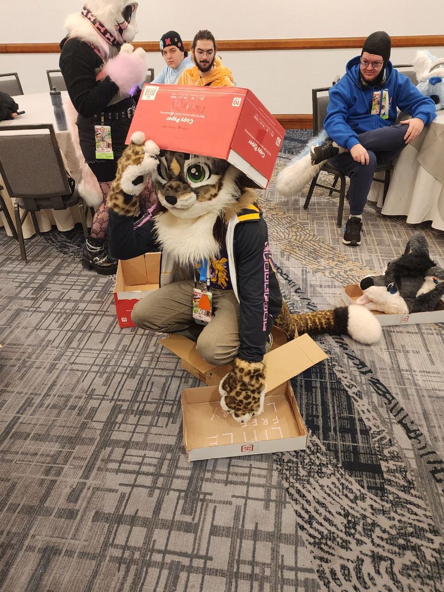carboor_cat's tweet image. #PDFC2025 was such a blast! I had an awesome time with all you guys! 😊 ❤️