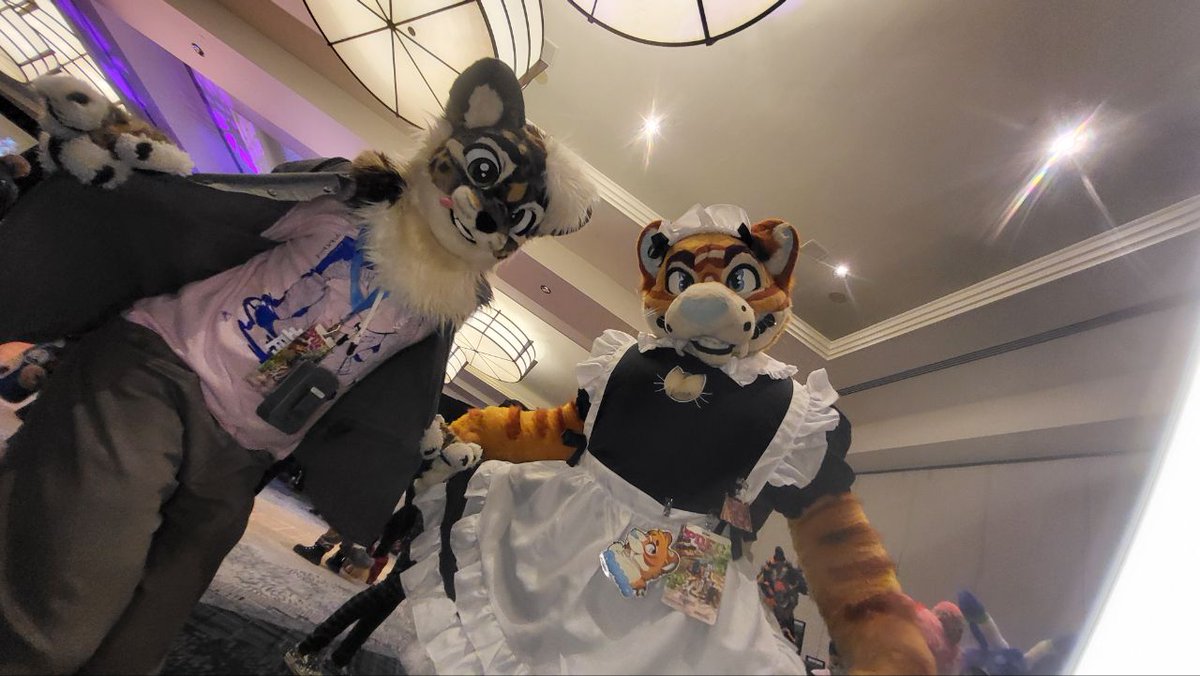 carboor_cat's tweet image. #PDFC2025 was such a blast! I had an awesome time with all you guys! 😊 ❤️