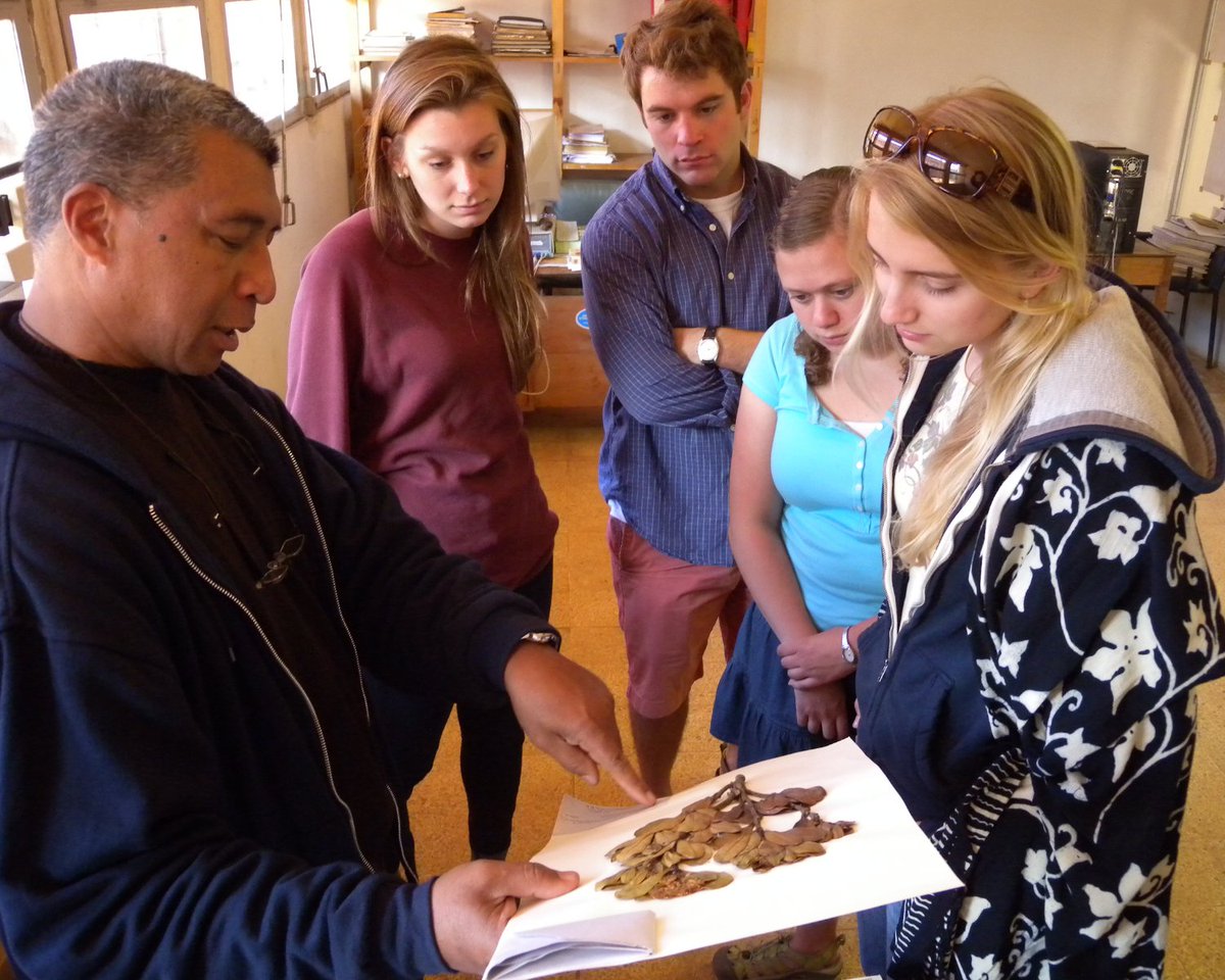 🇲🇬 🌍️ SIT Madagascar alum Cerise says "Studying in Madagascar with SIT was one of the best decisions I've made... [It]  changed my perspective on healthcare and how it can be realized in the U.S."

Learn more and apply for Summer 2025 here: ow.ly/37k950UBitB