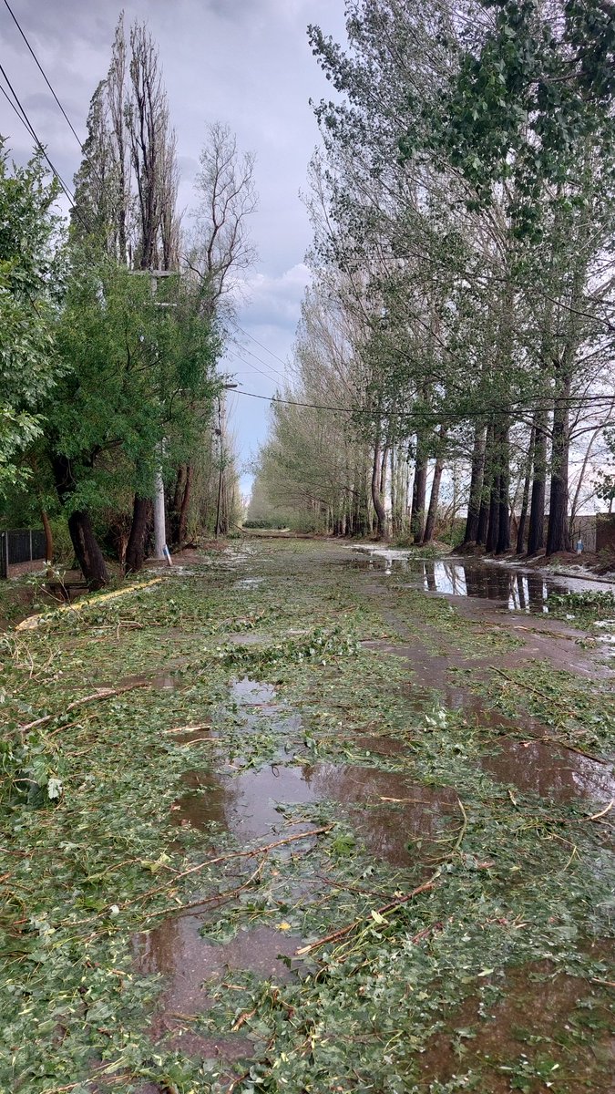SE LLEVO TODO
Real del Padre 06/01/2025
Esfuerzo, sueños, trabajo se fueron con este tornado de agua, piedra y vientos de 100km. 
A levantarse y seguir adelante unidos. 💪 
#FuerzaReal